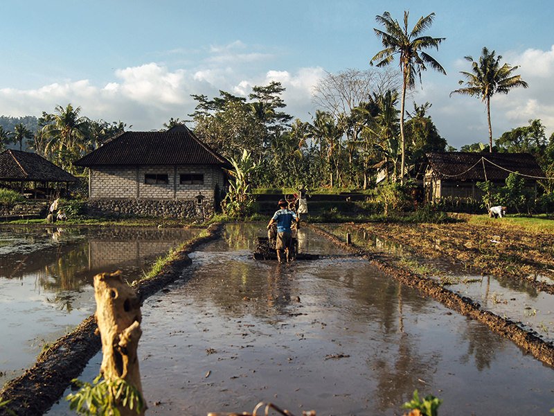 FARMING – Castro Community on Patrol