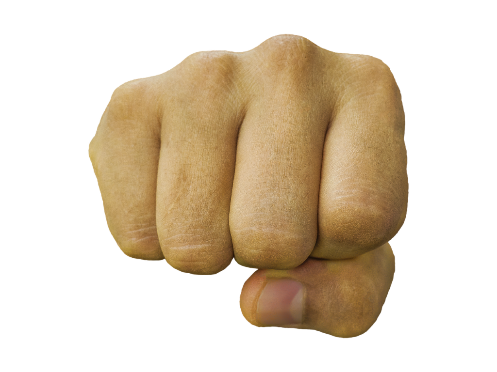 fist